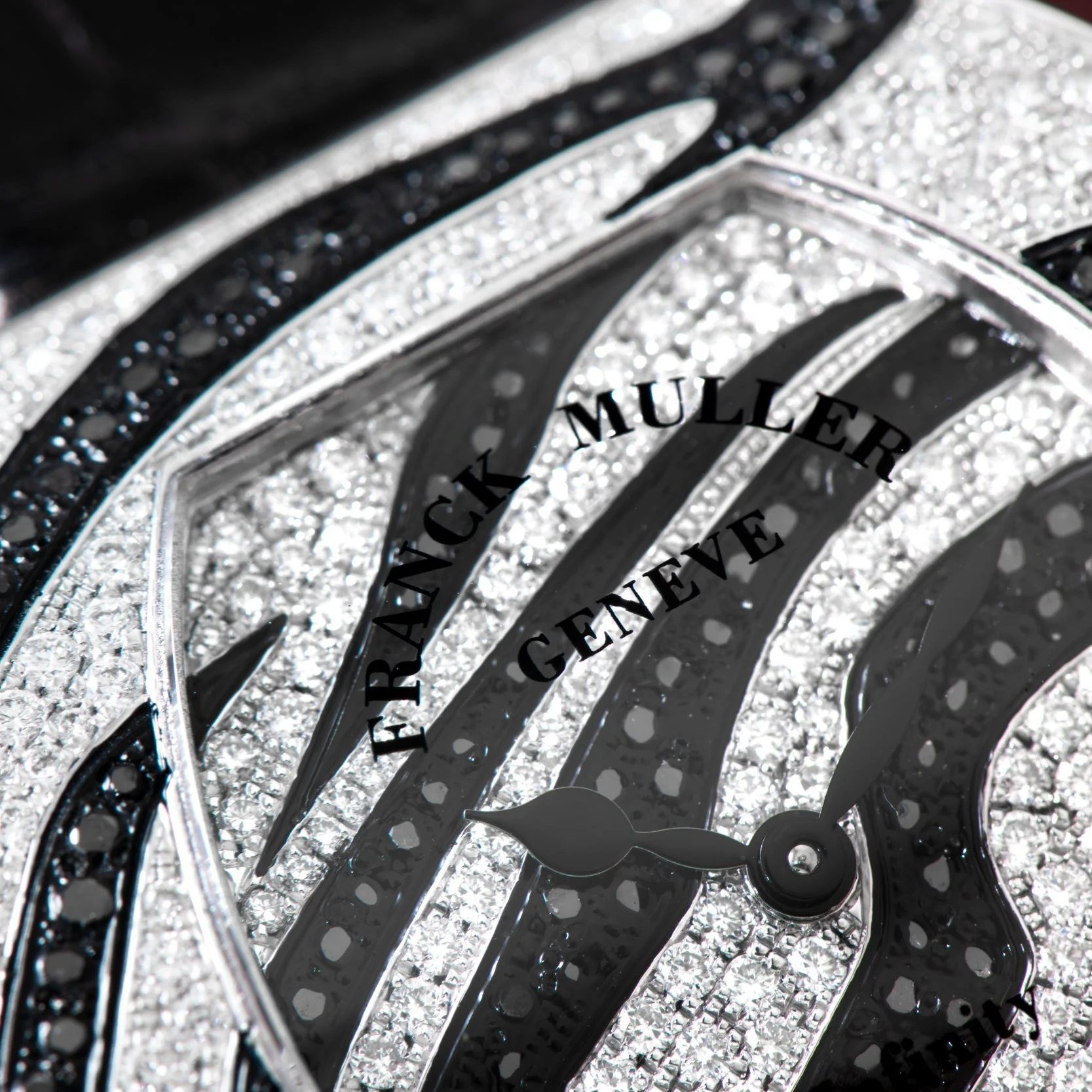 Franck Muller Infinity Safari - Image 6