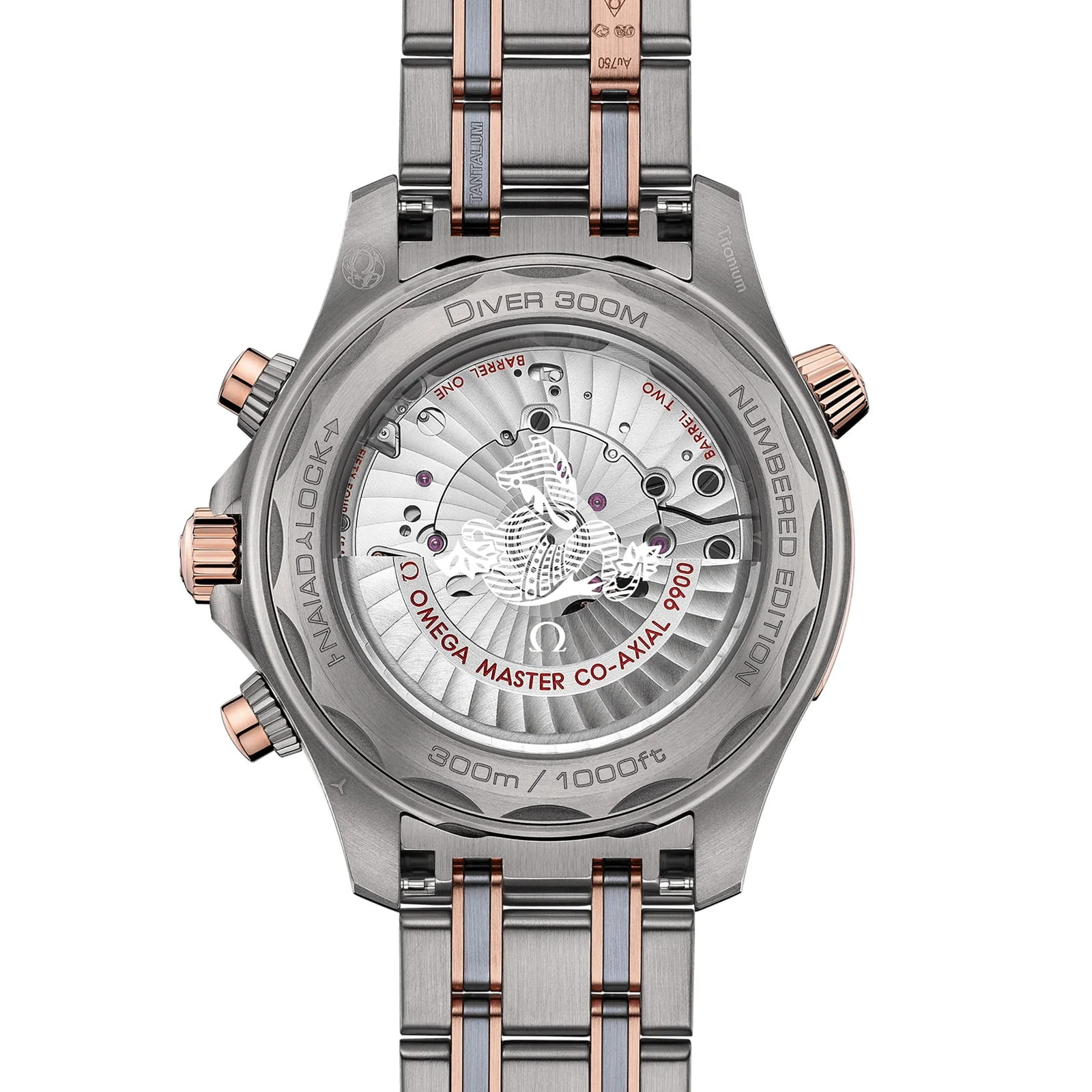 Seamaster | 44mm, Titanium & 18K Rose Gold, Titanium, Blue Dial - Image 2