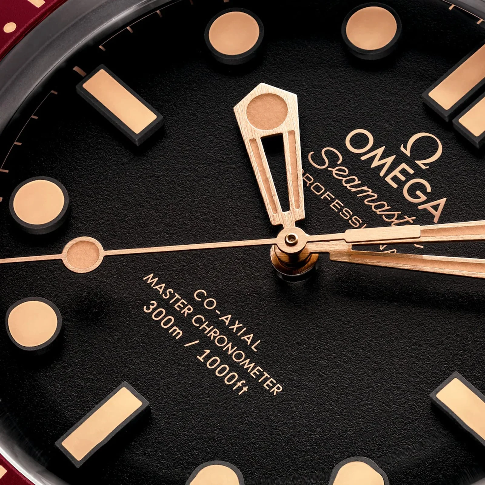 Seamaster Diver 300M | 42mm, Bronze, Black Dial - Image 4
