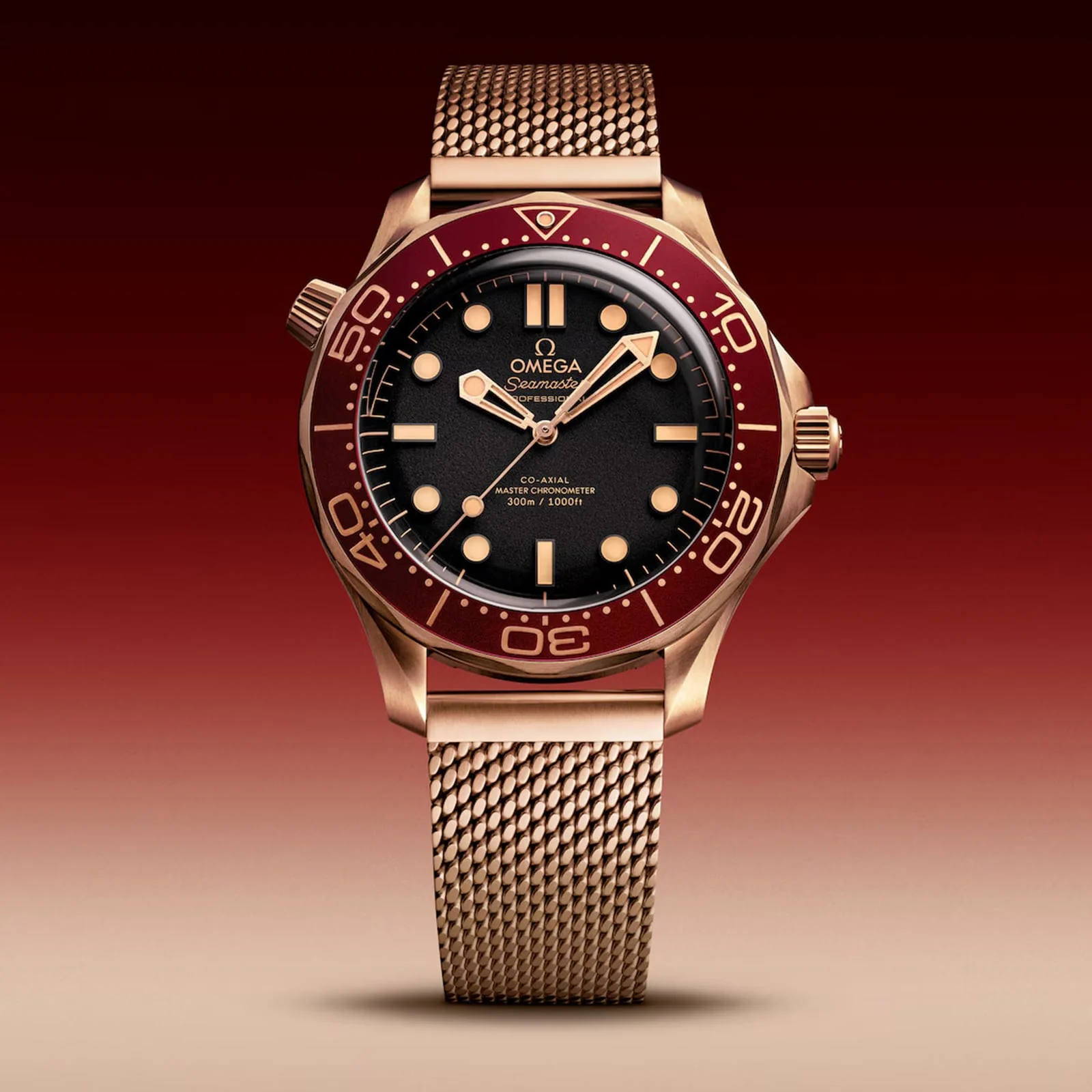 Seamaster Diver 300M | 42mm, Bronze, Black Dial - Image 5