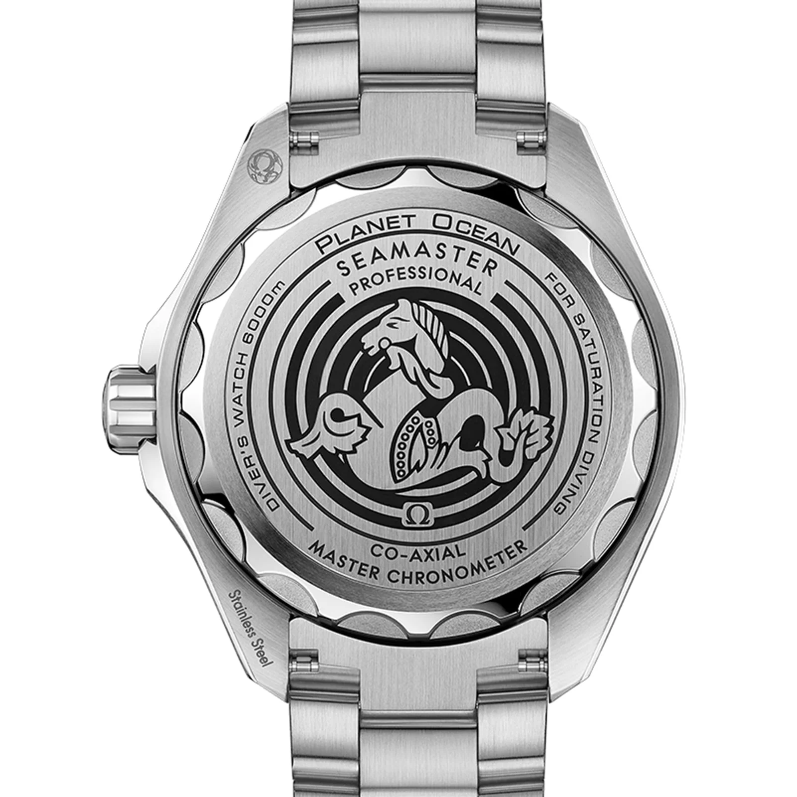 Seamaster Planet Ocean 6000M | 45.5mm, Steel, Grey Dial - Image 2
