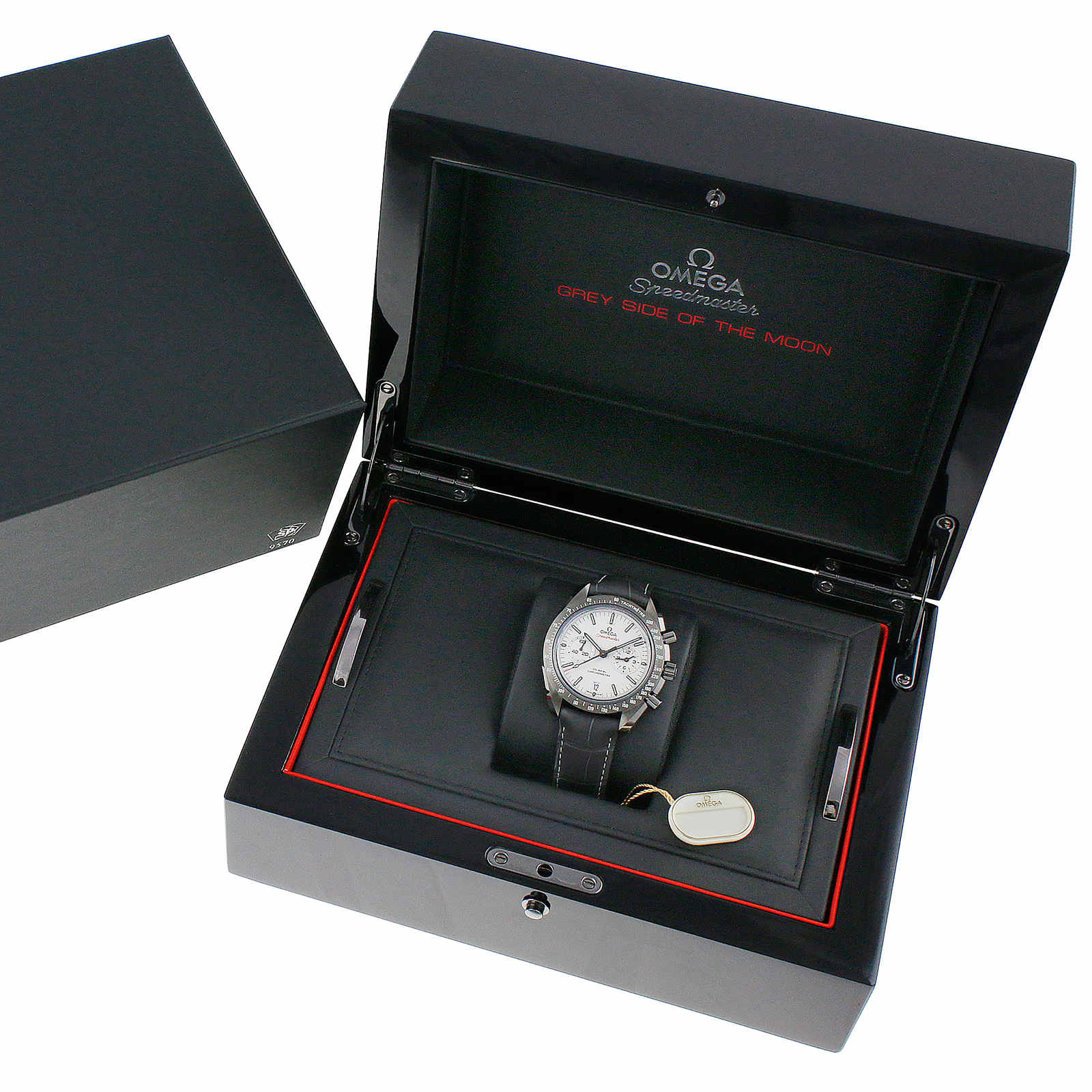 Speedmaster Dark Side of the Moon Grey Side Edition | 44.25mm, Ceramic, Alligator Leather, Grey Dial - Image 7