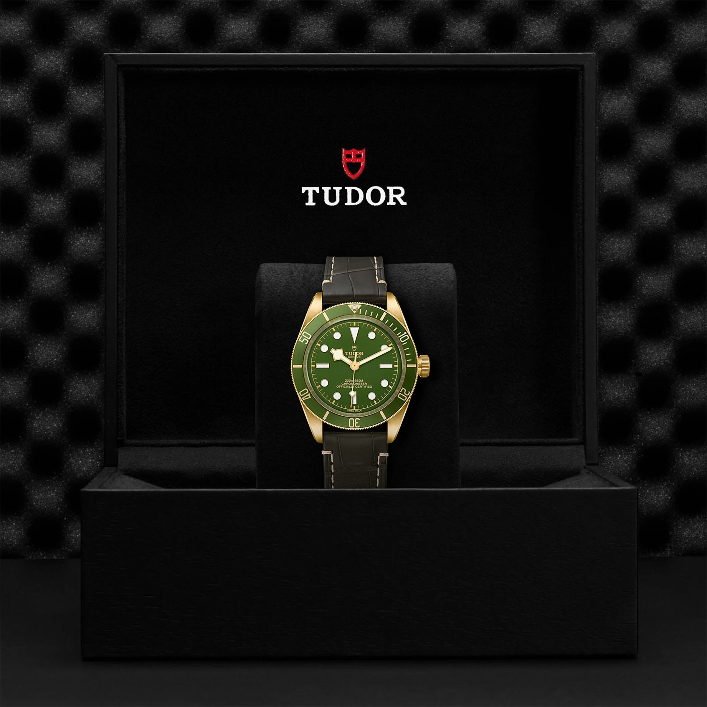 Black Bay 58 18K | 39mm, 18K Yellow Gold, Alligator Leather, Green Dial - Image 5