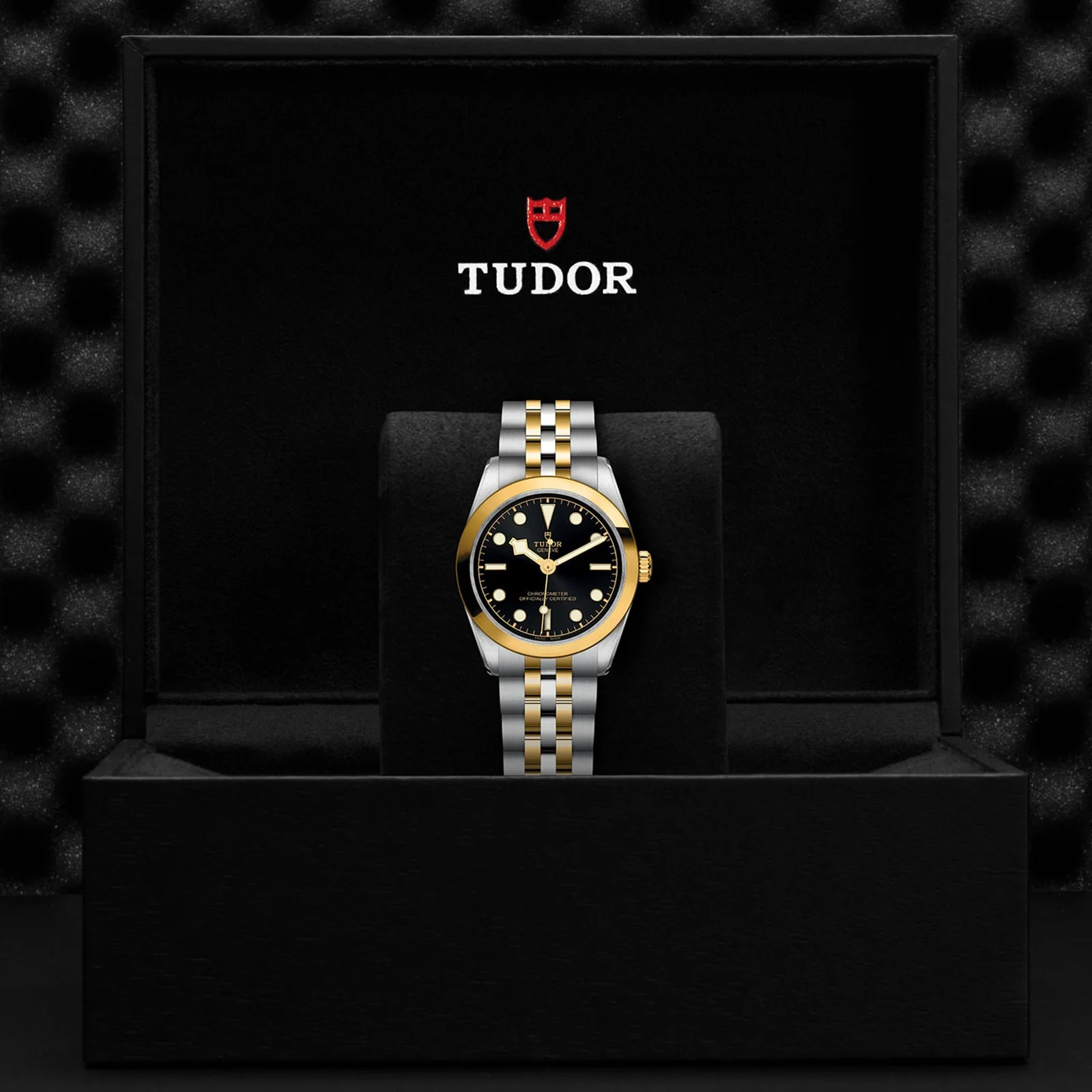 Black Bay One 31 S&G | 31mm, Two-Tone Steel & 18K Yellow Gold, Black Dial - Image 5
